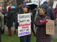 protest Harvard