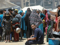 fasia gaza