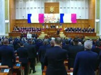 Nicușor Dan, Parlament