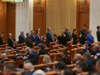 Parlament, Nicusor Dan