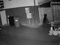 Oamenii dintr-o localitate din Mureș trăiesc cu frica urșilor care intră în curți în căutare de hrană. „Ne păzim”