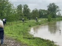 inundatii