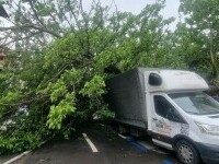 Copac prăbușit peste patru mașini în Sectorul 1 al Capitalei. Trafic blocat și o conductă de gaze avariată