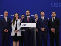 Domic Fritz și conducerea interimară a USR