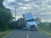 Sute de milioane de albine au scăpat în SUA, după ce un camion s-a răsturnat. Avertismentul autorităților
