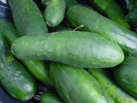 69 de tone de legume expirate, care urmau sa fie vandute la Timisoara, au fost confiscate