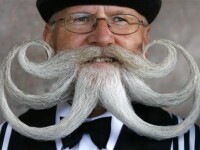 Englezii, cei mai barbosi, cei mai mustaciosi!