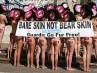 Protest nud la Moscova!
