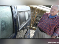 Isus ii apare in fiecare dimineata pe fereastra camionetei!