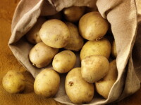 Razboiul cartofului: cel romanesc vs cel din import. Vezi care castiga!