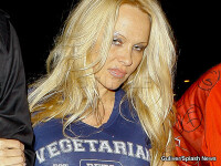 Dublu soc: Pamela Anderson circula cu trenul si a fost hartuita