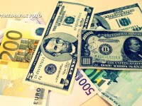 dolari si euro, bani