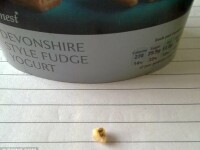 FOTO. Barbatul care nu va mai manca niciodata iaurt, dupa ce a gasit in ultima cutie cumparata