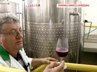 Patria vinului, partea 1: Primul reportaj realizat in crama de 150.000 de litri a guvernatorului BNR
