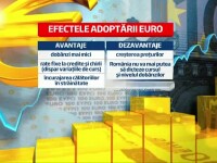 efectele adoptarii euro