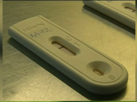 test de sarcina