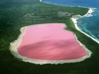 lacul roz australia