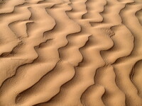 Sahara