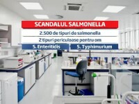 salmonella