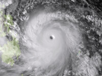 Taifunul Haiyan
