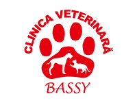 Clinica Bassy, Logo