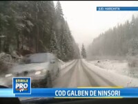 Cod galben de vant si ninsori. La munte in Ardeal zapada atinge deja 20 de centimetri