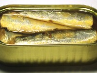 Sardine in conserva