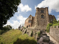 Castelul Tamworth