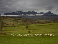 maramures