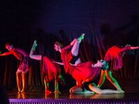 Patru zile de magie prin dans la cea de-a 3-a editie a Festivalului International de Dans Contemporan „STEPS”