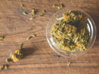 marijuana - Shutterstock