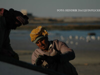 pescari Oman