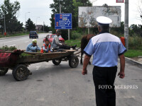 Sute de masini au fost oprite in trafic in timpul unei razii desfasurate de polisittii din cadrul Inspectoratului Judetean de Politie (IJP) Botosani, in cooperare cu lucratorii de la IJP Neamt.