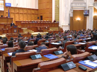 parlamentul tinerilor