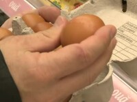 Ouăle și-au dublat prețul și scumpirea continuă până la Crăciun. Avertismentul marilor producători