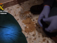 Metoda prin care o grupare de români jefuia vârstnici în Spania. 11 persoane, reținute