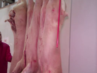 Carne de porc