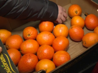 portocale, citrice, tratate, substanta periculoasa