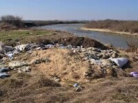 Imagini revoltătoare pe râul Mureș. Mesajul unor ecologiști care luptă să reducă poluarea