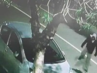 Român filmat când ucidea un pisoi pe stradă, în Italia