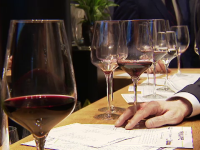 Un ghid cu cele mai bune vinuri românești urmează să fie lansat la Paris: „Calitatea e excepțională”