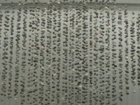 Eveniment special în Germania. Cum comemorează nemții căderea zidului Berlinului