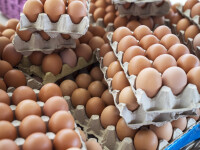 Preţul ouălor a atins un nivel record în SUA după ce coronavirusul a stimulat cererea