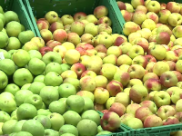 Cât de sănătoase sunt de fapt merele românești