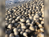 Fenomen ciudat pe o plajă din Finlanda. Explicația apariției a sute de bucăți de gheață