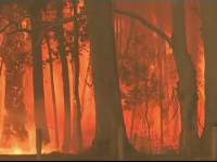 Incendii în Australia