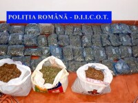Captură de droguri de peste 500.000 de euro în casa unui tânăr din Neamț