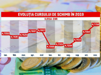 evoluţie euro