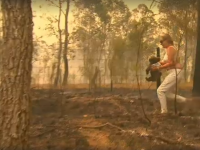 Momentul în care o femeie trece prin flăcări pentru a salva un urs koala rănit. VIDEO