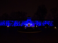 Palatul Cotroceni, iluminat cu prilejul Zilei Internaționale a Drepturilor Copilului